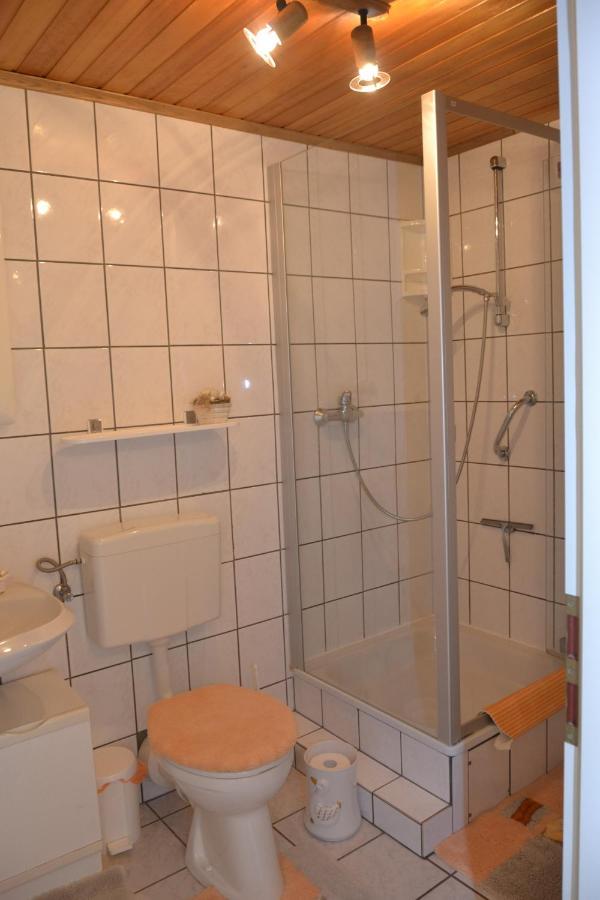 Ferienwohnung Heinen Andernach Ngoại thất bức ảnh